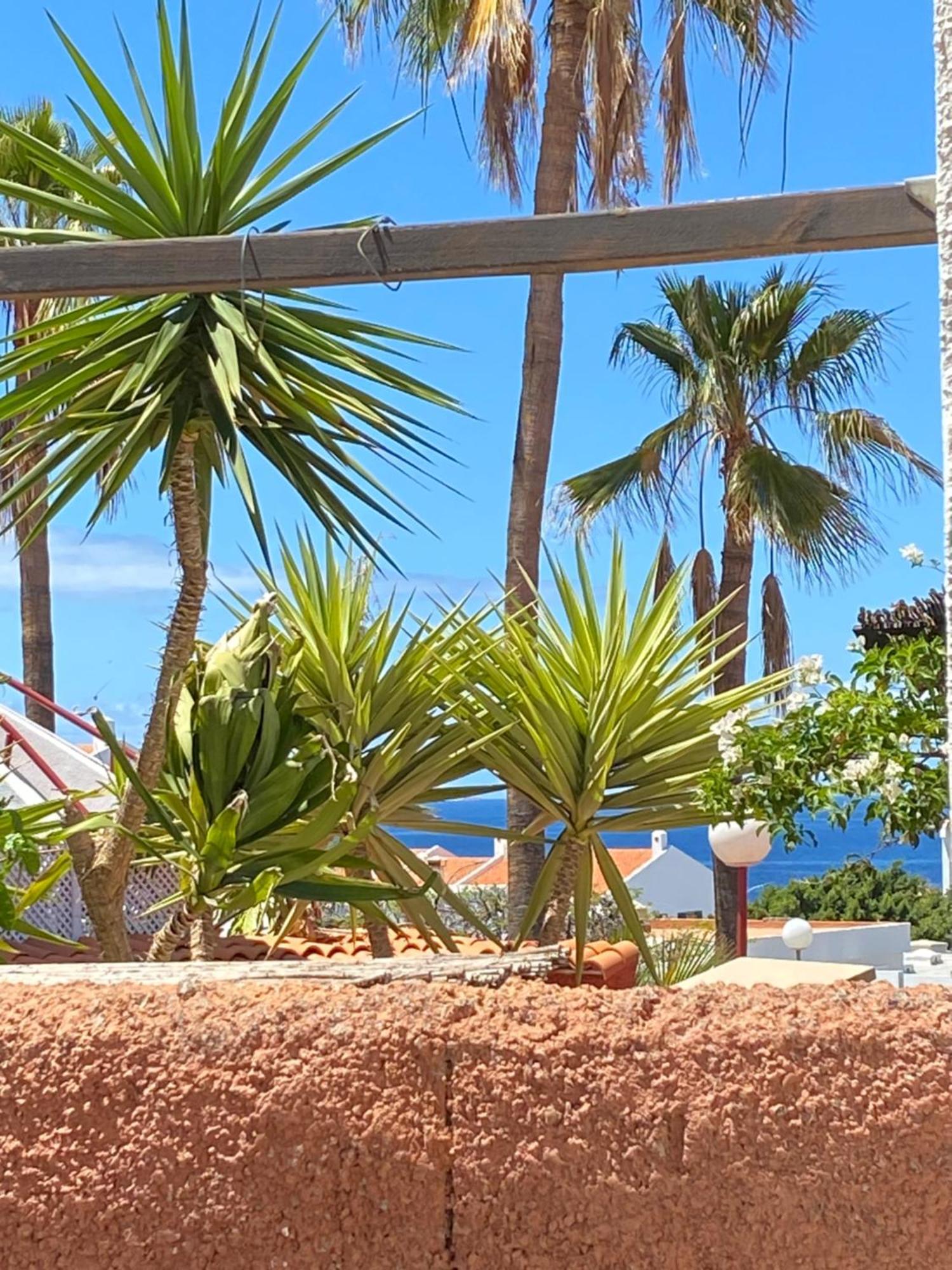 קיאו סלבאחה Bungalow Paraiso מראה חיצוני תמונה