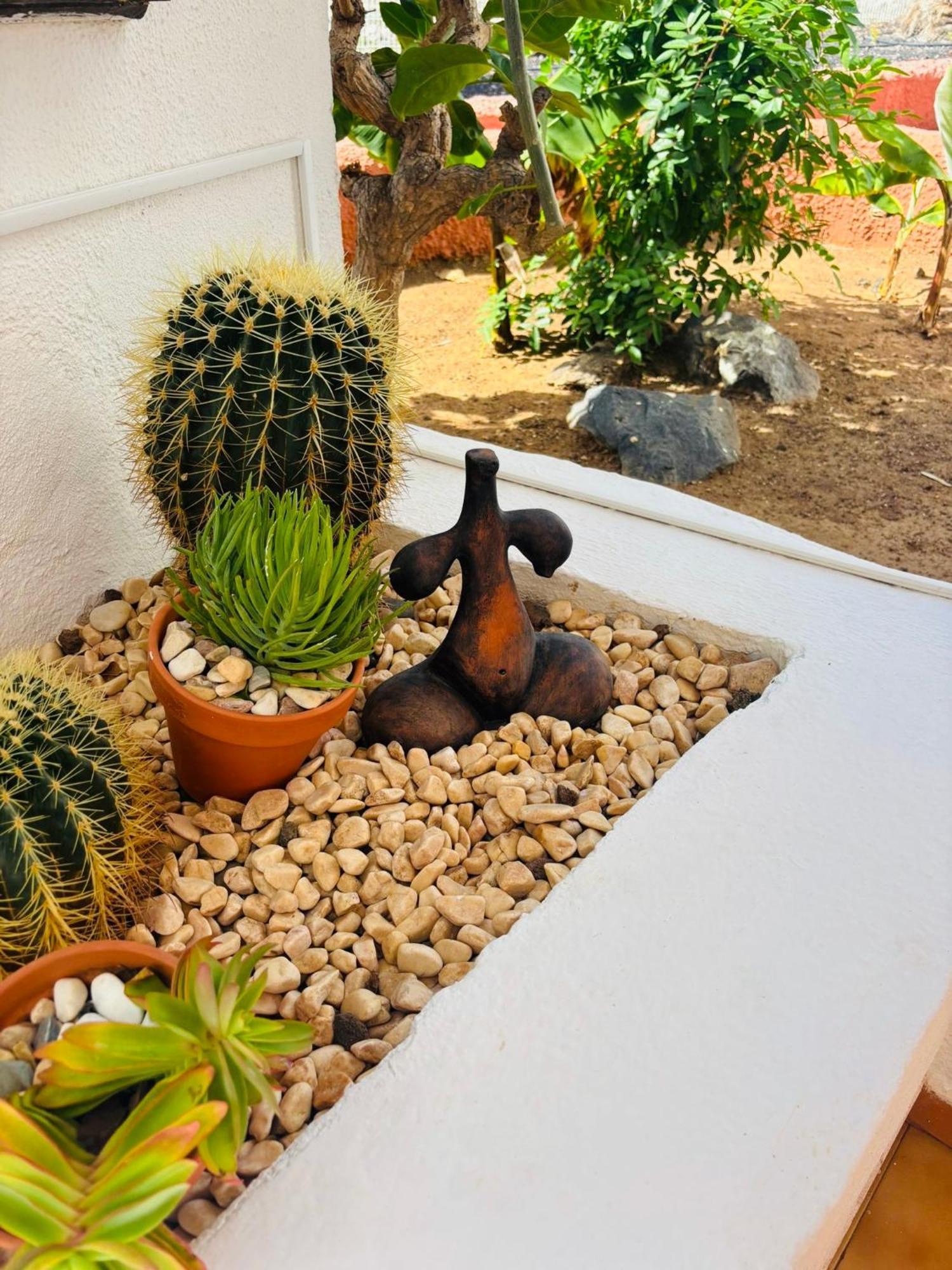 קיאו סלבאחה Bungalow Paraiso מראה חיצוני תמונה